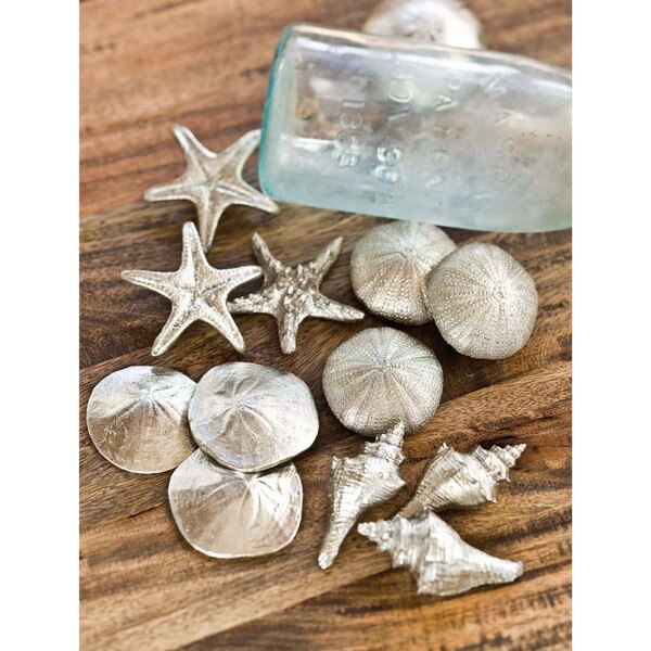 Assorted Mini Seashells Set of 12